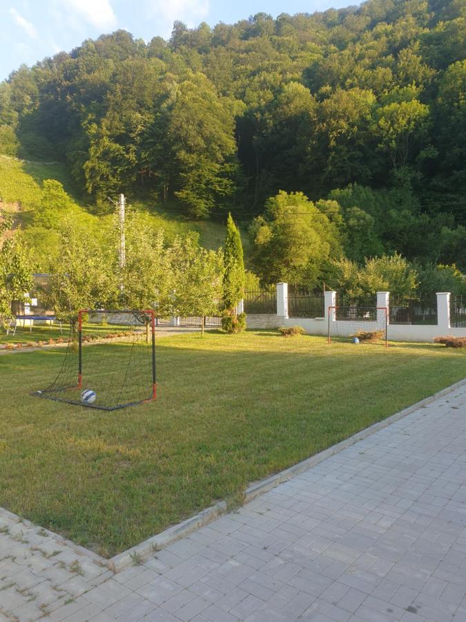 Pensiunea Casa David Sugág Kültér fotó