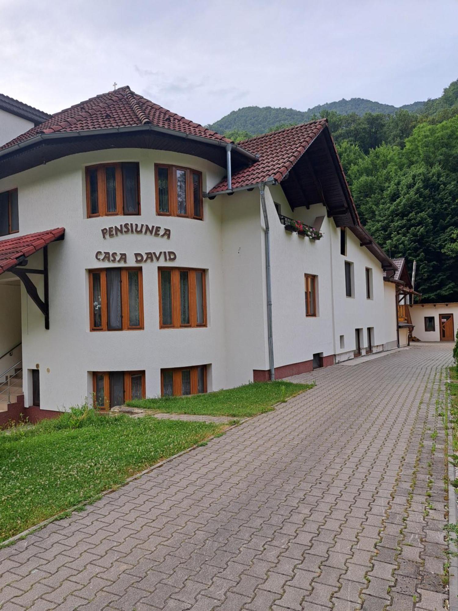 Pensiunea Casa David Sugág Kültér fotó