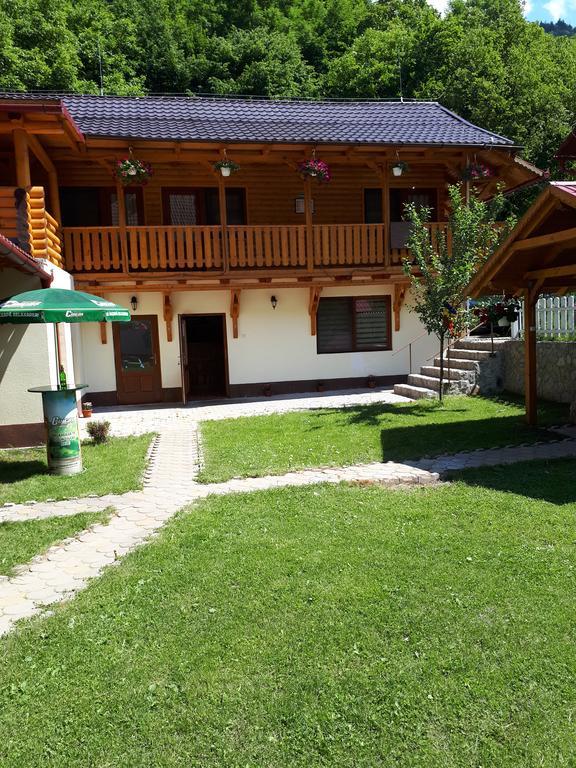 Pensiunea Casa David Sugág Kültér fotó